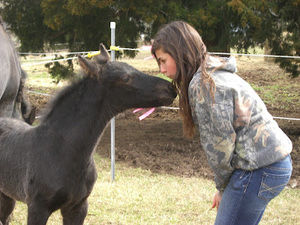 Meet your Posher, Stephanie